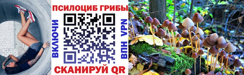 Купить закладки  Серов  Галлюциногенные грибы мицелий 